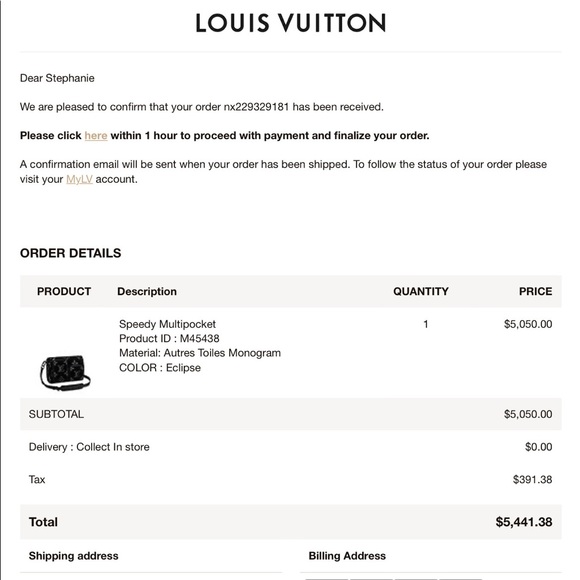 Louis Vuitton Multipocket (LIMITED) - Picture 15 of 16